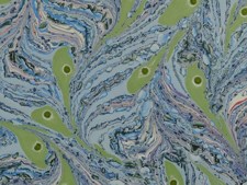 Marbled paper #5873