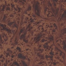 Tree root marbled paper #6473