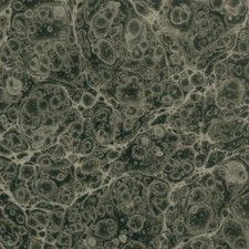 Marbled paper #7040