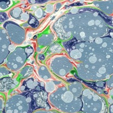 Marbled paper #6854