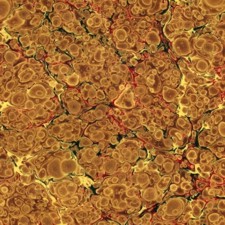 Marbled paper #6949