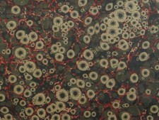 Marbled paper #7048