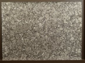 Marbled paper #8112